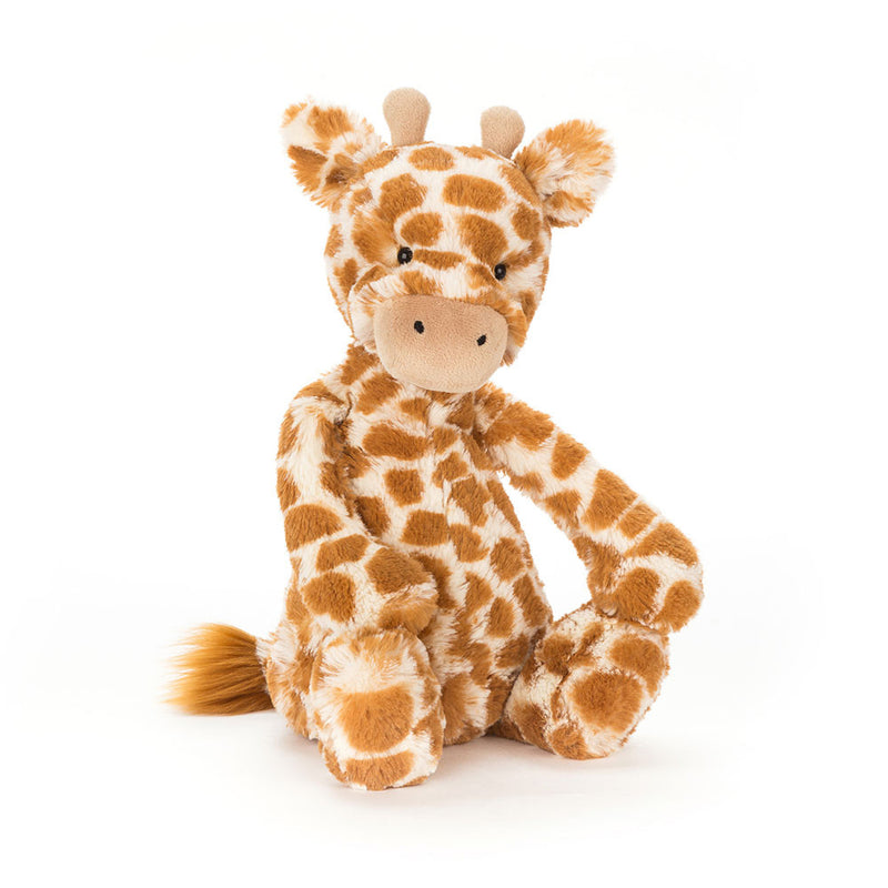 JellyCats