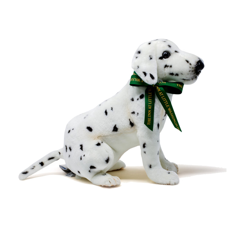 Mini Dalmatian Dog - Sitting